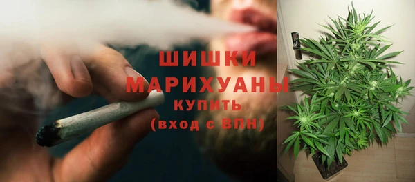 метадон Инта