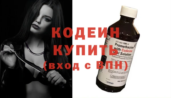 метадон Инта
