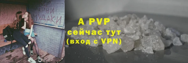 мяу мяу мука Иннополис
