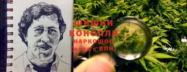 мяу мяу мука Иннополис