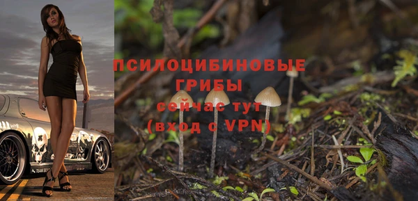 метадон Инта