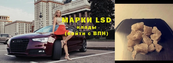 мяу мяу мука Иннополис