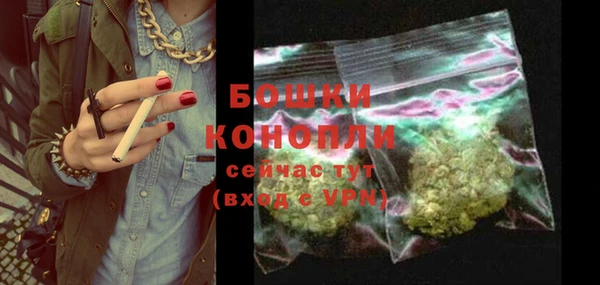 метадон Инта