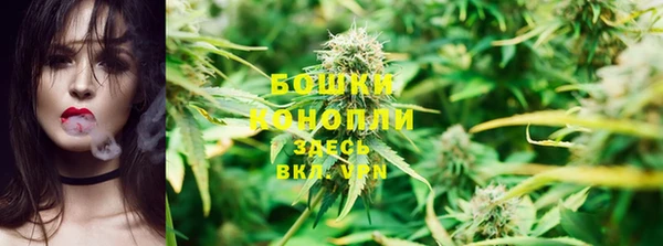 метадон Инта