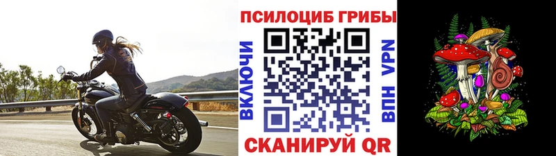 Купить где Звенигово Галлюциногенные грибы мухоморы