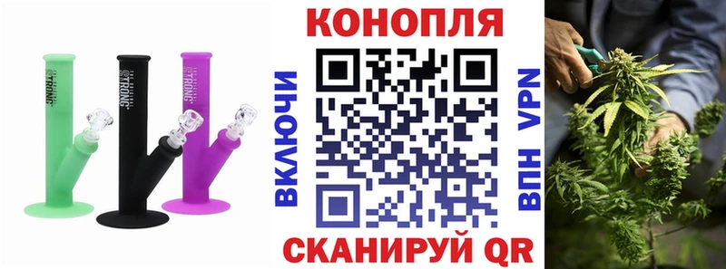 Купить закладки  Звенигово  Канабис индика 